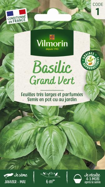 Aromatiques - Basilic Grand Vert - PACKAGING_RECTO